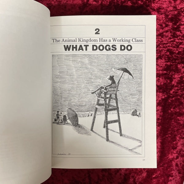 Dog catalog 洋書
