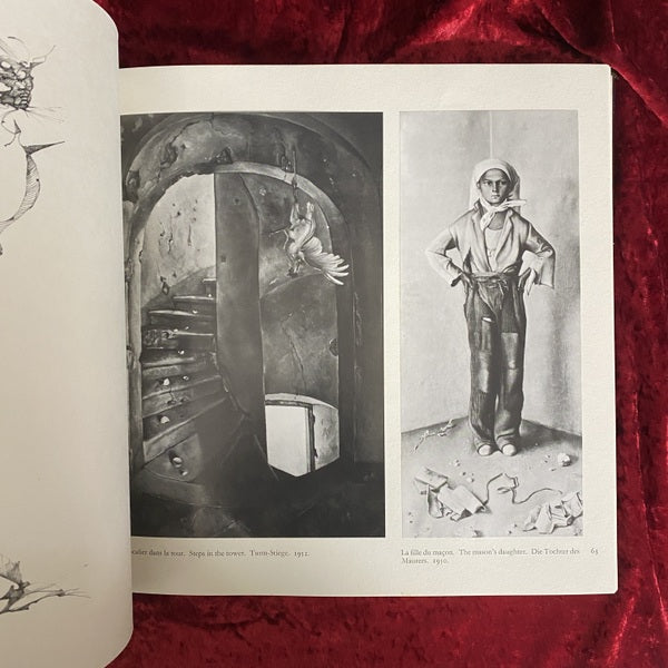 レオノール・フィニー画集  限定版