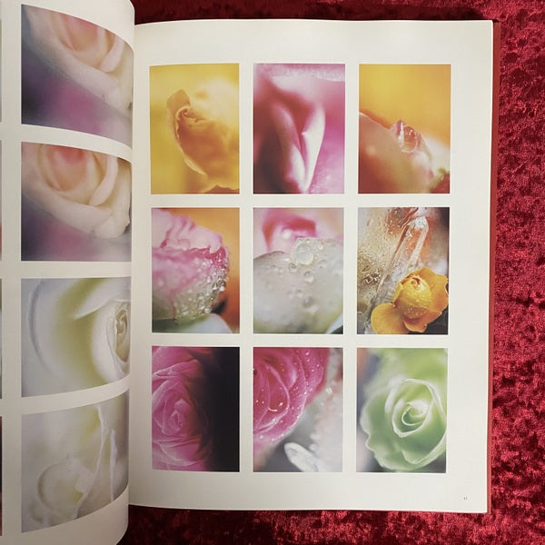 魔女たちの九九　The witches'one times one