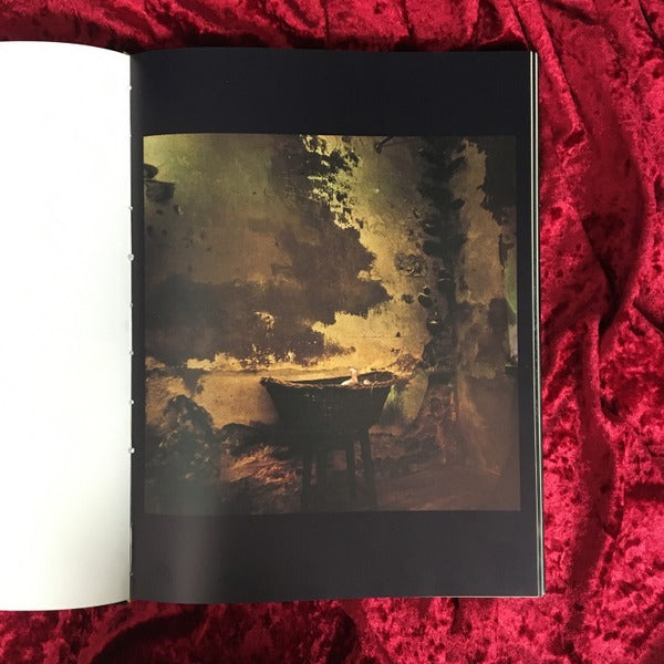 Life, Love, Death & Other Such Trifles 洋書