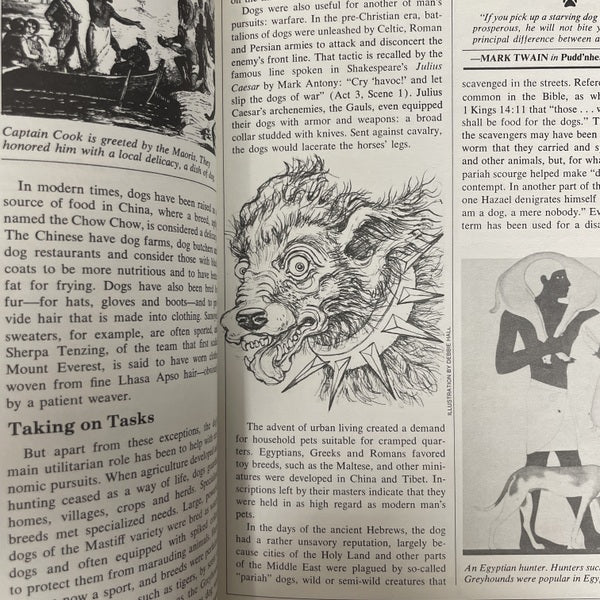 Dog catalog 洋書