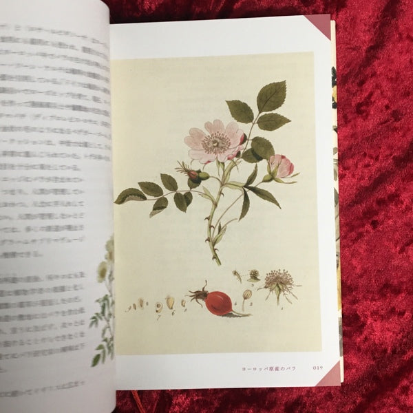 図説 バラの博物百科