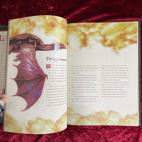 The Book Of The Dragon 洋書