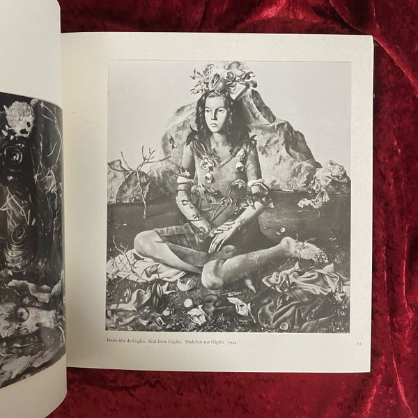 レオノール・フィニー画集  限定版