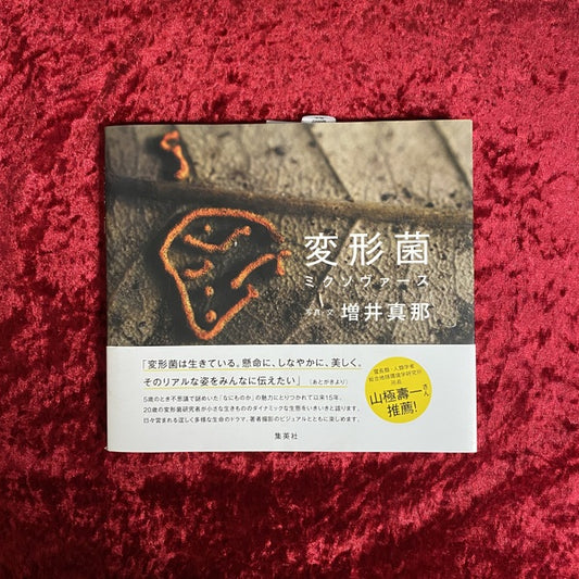変形菌ミクソヴァース