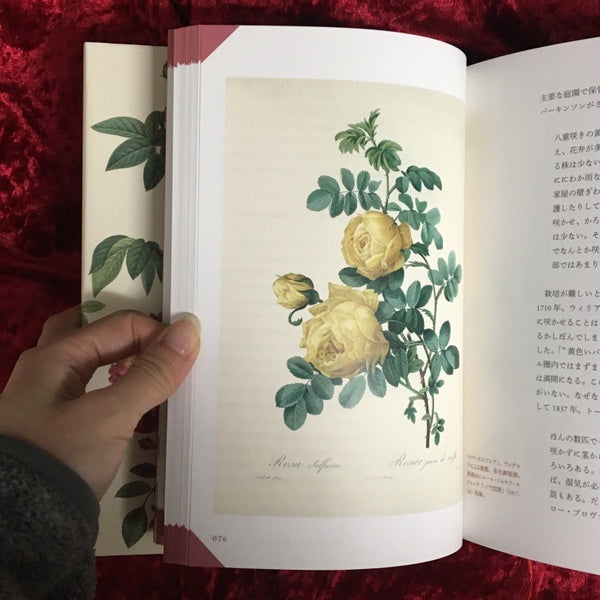 図説 バラの博物百科