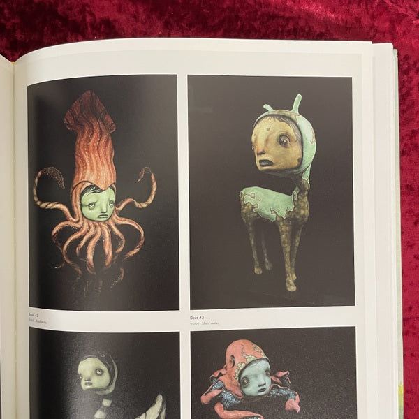 The Upset: Young Contemporary Art　洋書