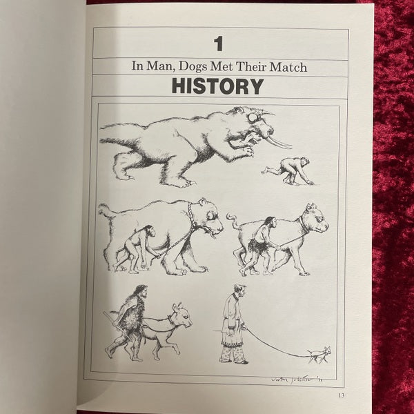 Dog catalog 洋書
