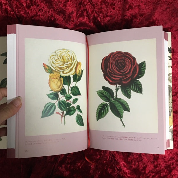 図説 バラの博物百科