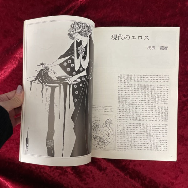 Fool's mate フールズ・メイト　vol.6　特集　Eros
