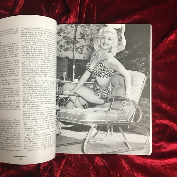 Va Va Voom!: Bombshells, Pin-ups, Sexpots and Glamour Girls　洋書