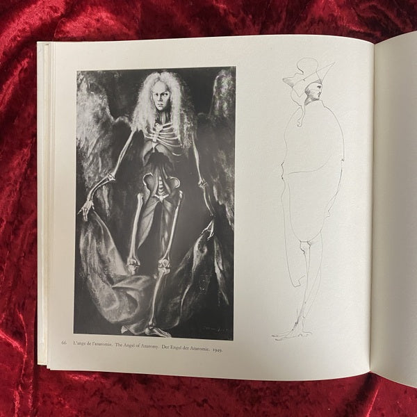 レオノール・フィニー、巨匠、挿画,５０部限定、高級額付、希少 レオノール・フィニー画集 限定版 – 古書ドリス