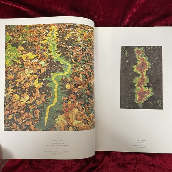 Andy Goldsworthy　A Collaboration with Nature　洋書
