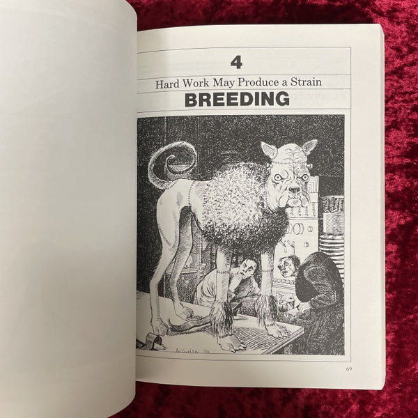 Dog catalog 洋書