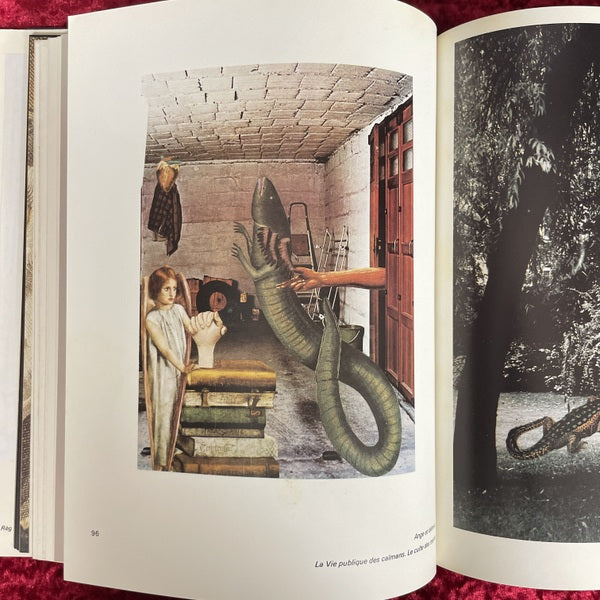 Jacques Prévert : collages　洋書　ジャック・プレヴェール：コラージュ