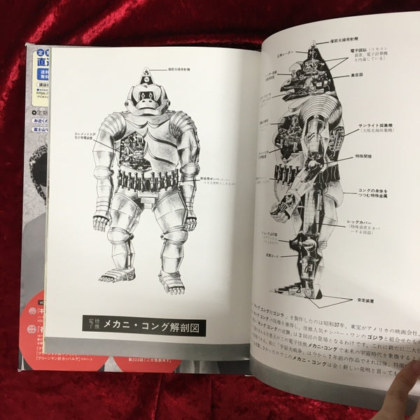 超優良子株 キングコング ボスゴリラ 超優良子株 キングコング ボスゴリラ