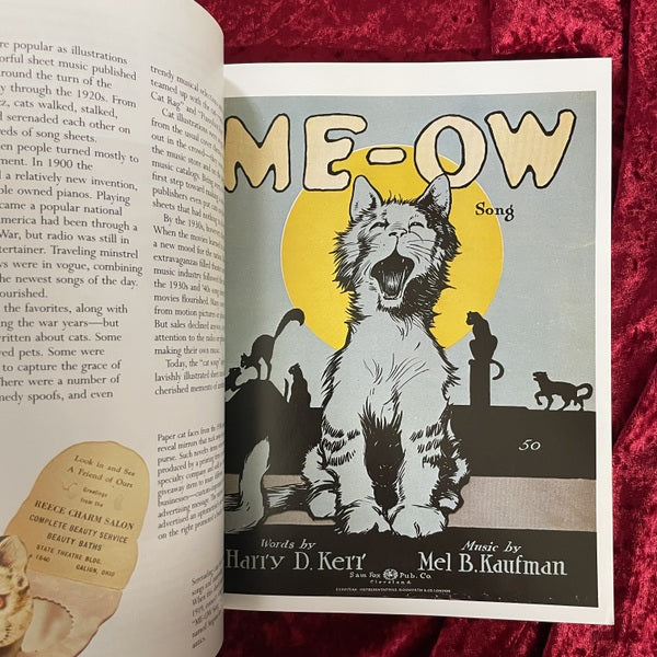 The Cat Made Me Buy It! A Collection of Cats Who Sold Yesterday's Products　洋書　