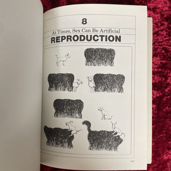 Dog catalog 洋書
