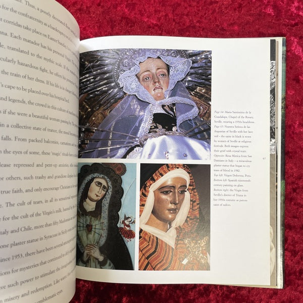 The Cult of the Virgin: Offerings, Ornaments and Festivals　洋書