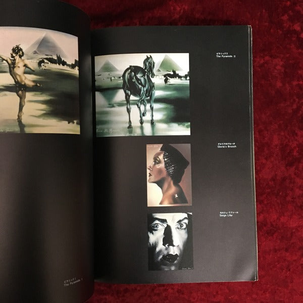 ポートレート　合田佐和子作品集　The Portrait by Sawako Goda