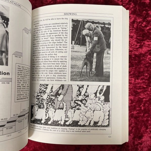Dog catalog 洋書