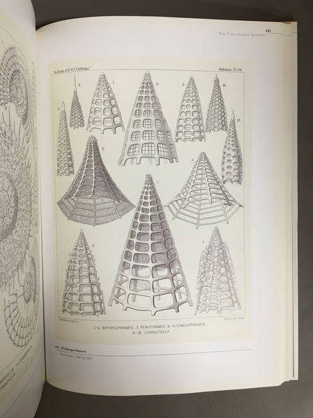 BILDWELTEN DER NATUR　著：Ernst Haeckel　エルンスト・ヘッケル　洋書