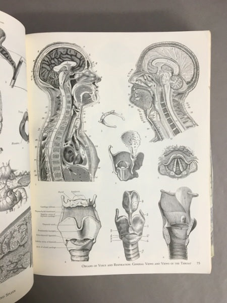 IMAGE OF MEDICINE　19世紀の解剖図と医学書の図版　洋書