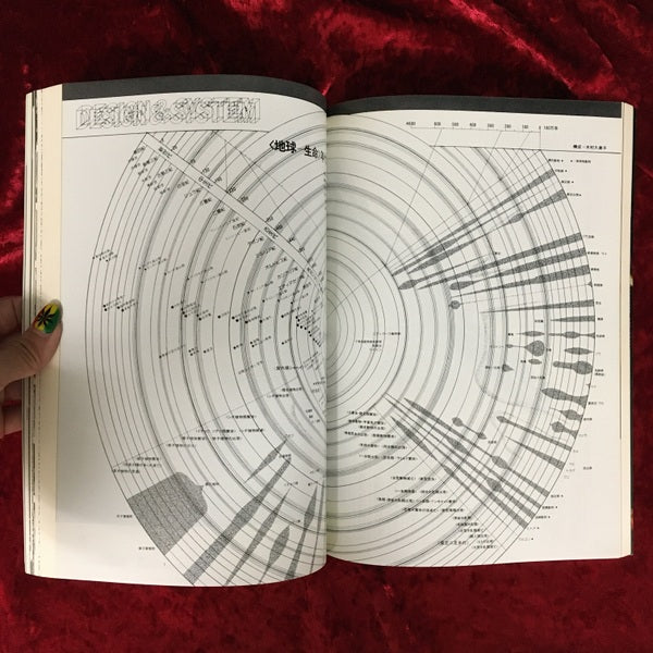 遊　音界　生命界 1008