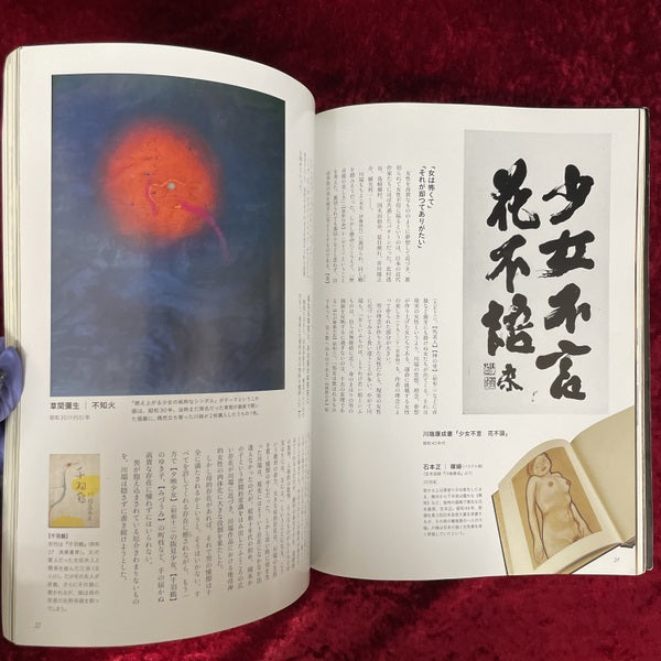 川端康成 : 蒐められた日本の美 ＜別冊太陽＞