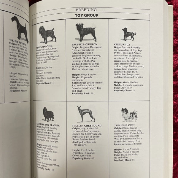 Dog catalog 洋書