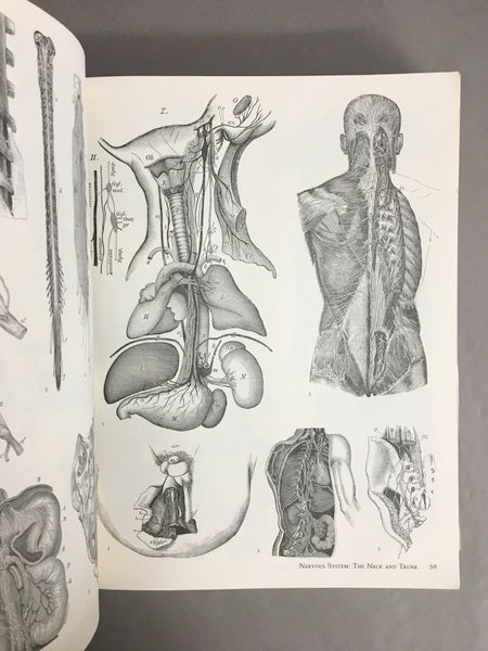 IMAGE OF MEDICINE　19世紀の解剖図と医学書の図版　洋書