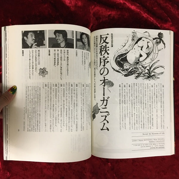 遊　音界　生命界 1008