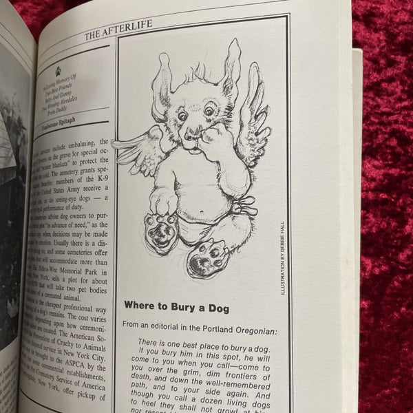Dog catalog 洋書