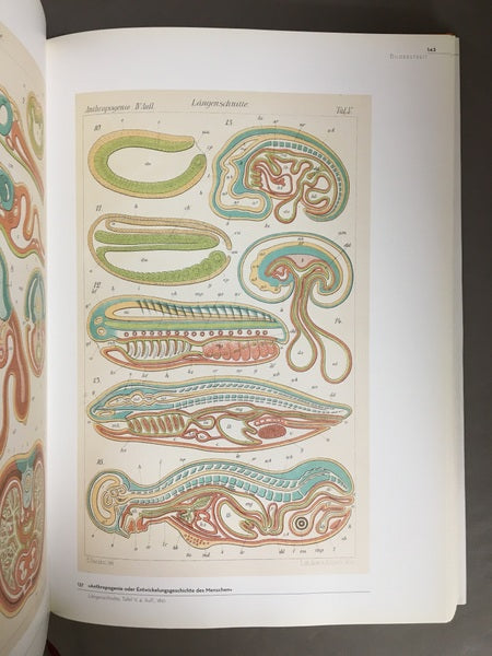 BILDWELTEN DER NATUR　著：Ernst Haeckel　エルンスト・ヘッケル　洋書