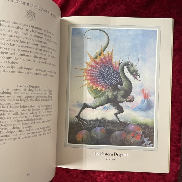Inventorum Natura　The Wondeful Voyage of Pliny　洋書