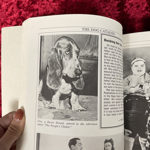 ヴィンテージ 犬 古本【チャン】 Dog catalog 洋書 – 古書ドリス