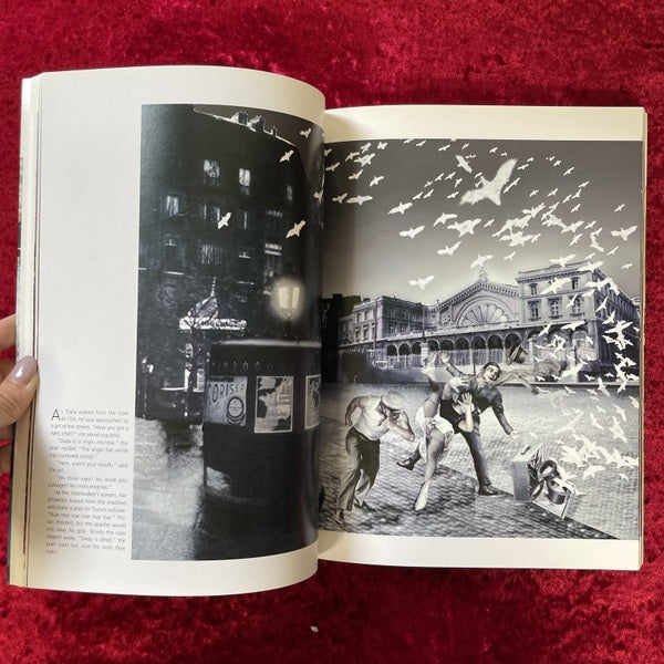 20th-Century Dreams 洋書