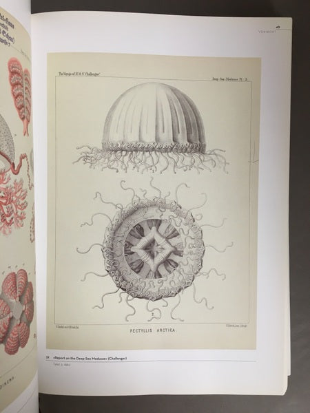 BILDWELTEN DER NATUR　著：Ernst Haeckel　エルンスト・ヘッケル　洋書