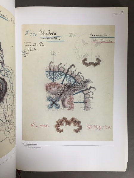 BILDWELTEN DER NATUR　著：Ernst Haeckel　エルンスト・ヘッケル　洋書