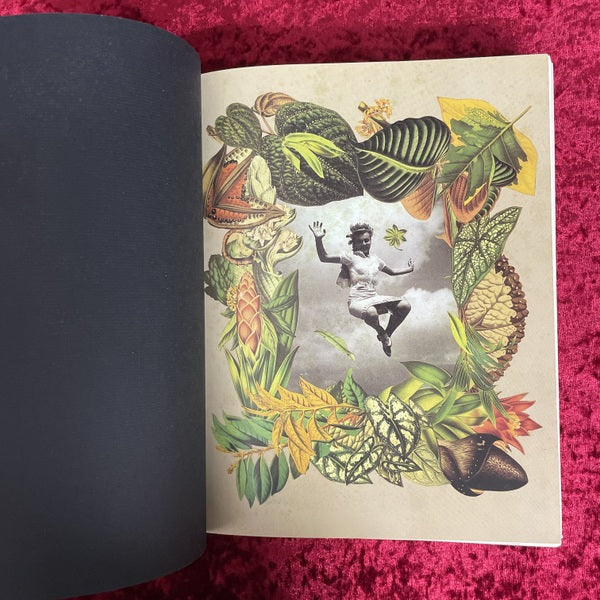 Jacques Prévert : collages　洋書　ジャック・プレヴェール：コラージュ