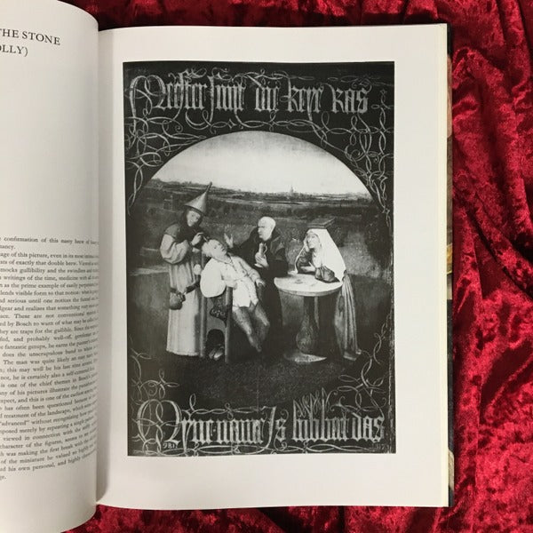 Hieronymus Bosch 洋書