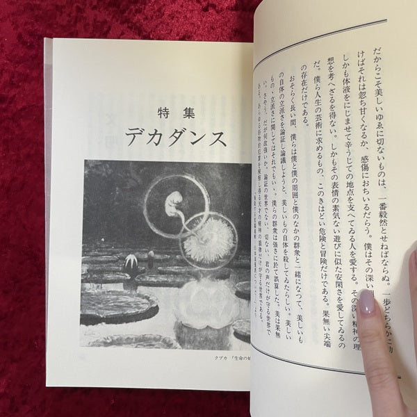 るさんちまん　RESSENTIMENT　創刊号・第2号・第3号　3冊セット　