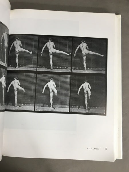 Muybridge's Complete Human and Animal Locomotion, Vol. 1