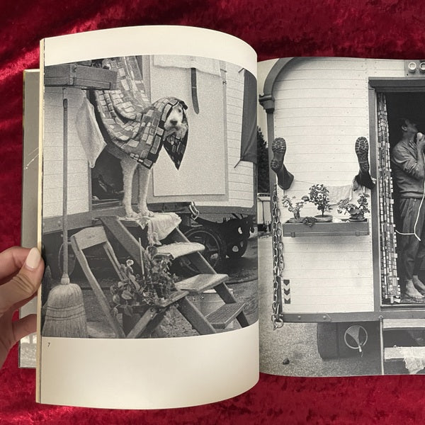 Circus： Hereinspaziert meine Herrschaften　洋書