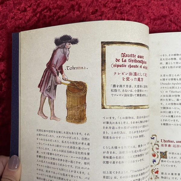 ひみつの薬箱 : 中世装飾写本で巡る薬草の旅