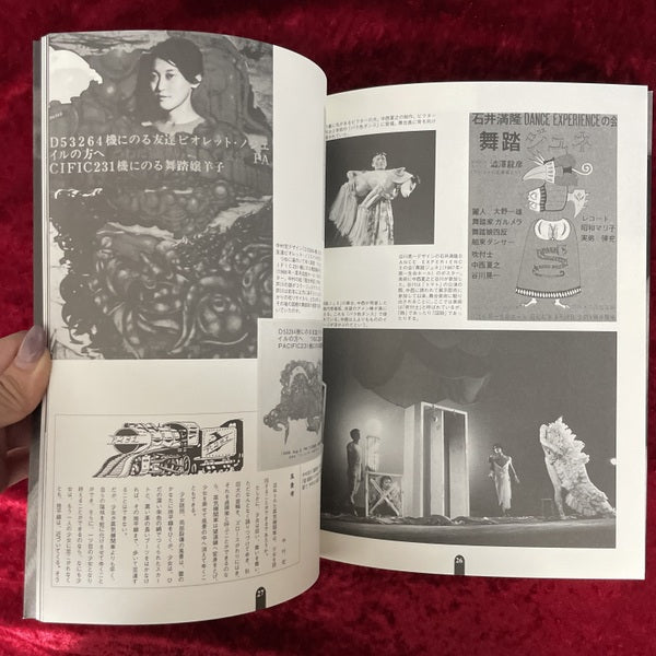 美術と舞踏の土方巽展