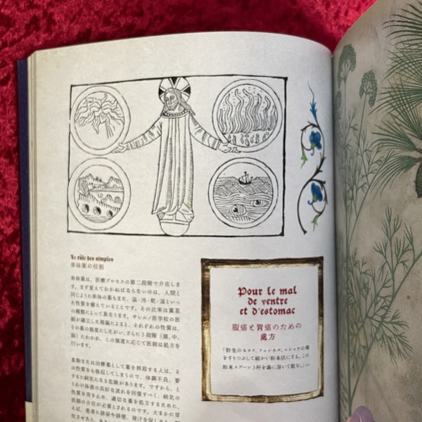 ひみつの薬箱 : 中世装飾写本で巡る薬草の旅