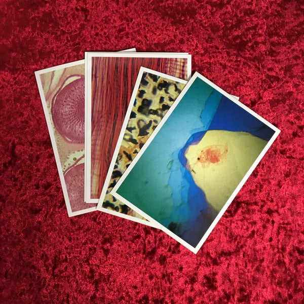 小林健二　作品集　KENJI KOBAYASHI　AKIHIKO TAKAMI　EXPERIMENT１　PRAPARAT of Pink Matter 35m/m　Original POSIFILM