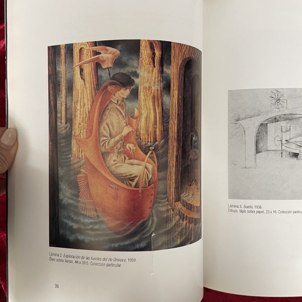 Remedios Varo: Cartas, sueños y otros textos　レメディオス・ヴァロ　洋書