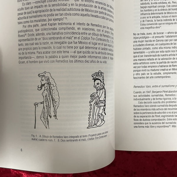 Remedios Varo: Cartas, sueños y otros textos　レメディオス・ヴァロ　洋書